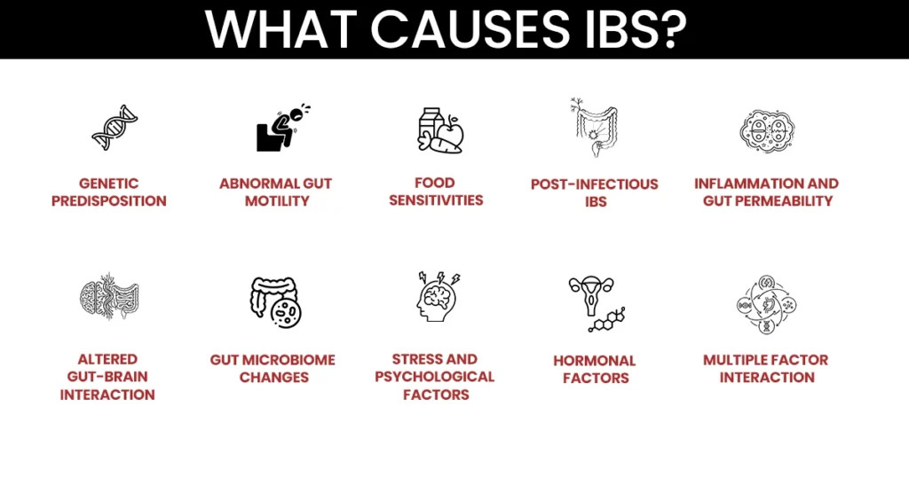 Infographic explaining common causes of irritable bowel syndrome.