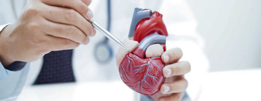 Cadiology in Pearland