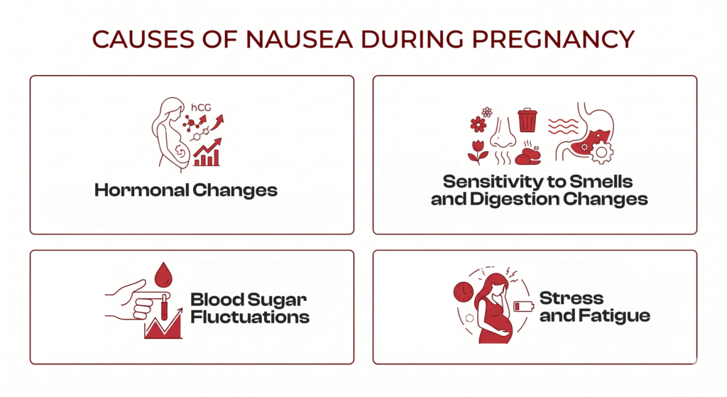 Infographic showing causes of pregnancy nausea: hormones, smell sensitivity, blood sugar changes, stress, and fatigue.